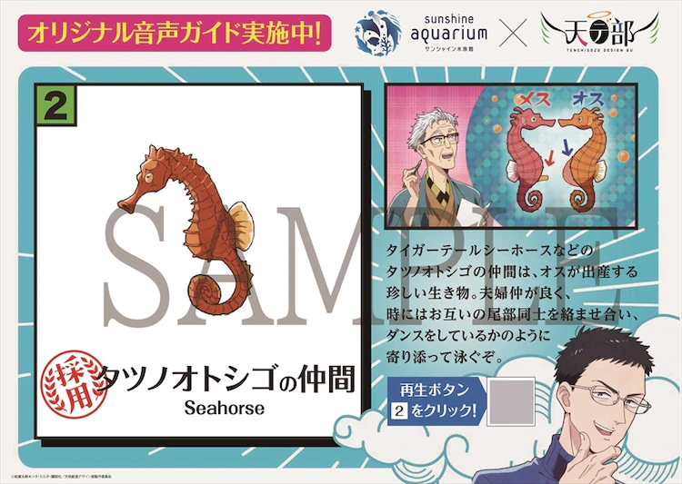 Seahorse information card