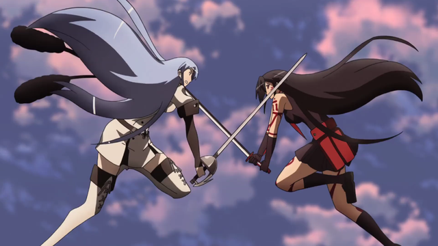 Akame Ga Kill Fight Scene