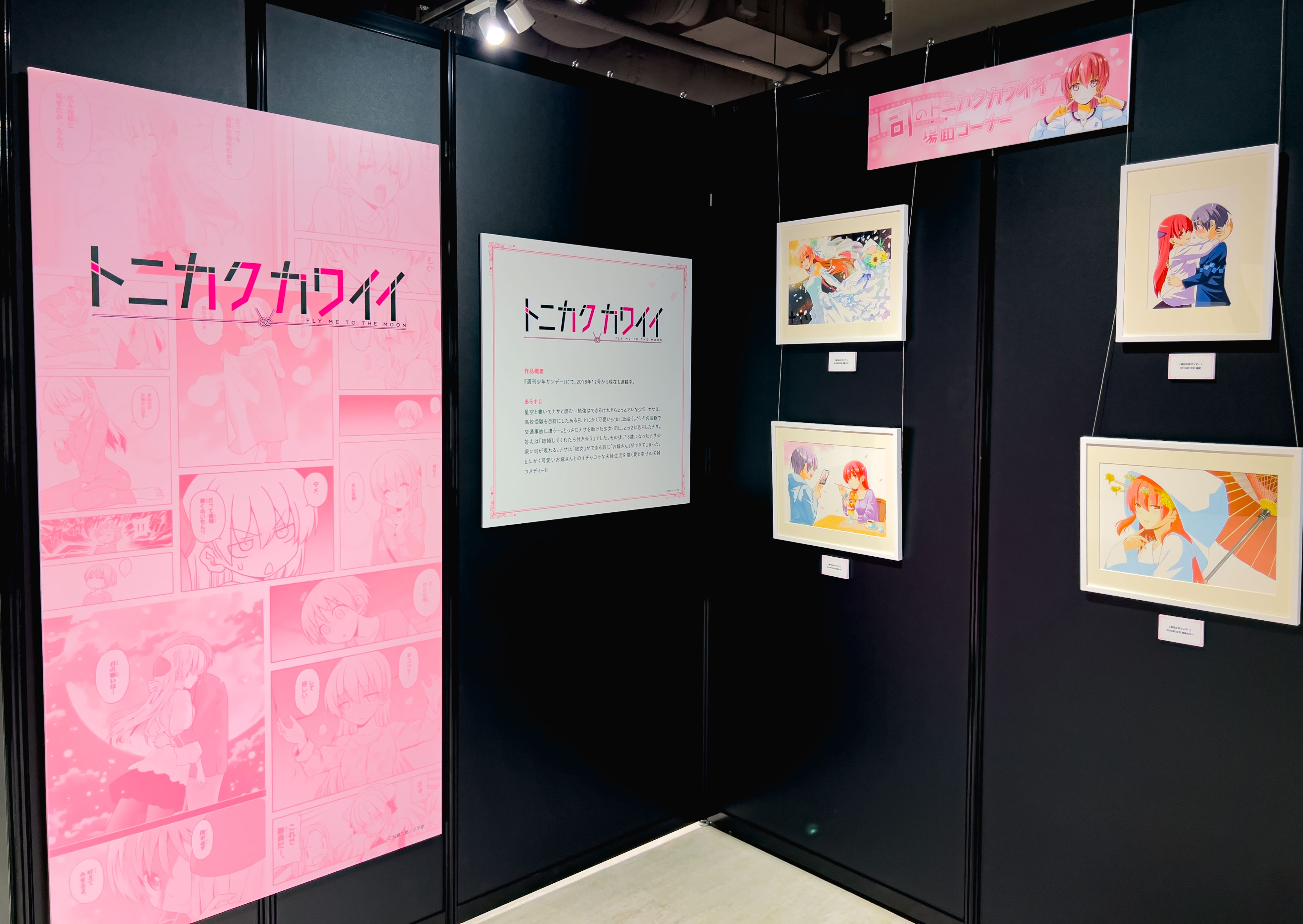 Exhibición de Kenjiro Hata en Tokio