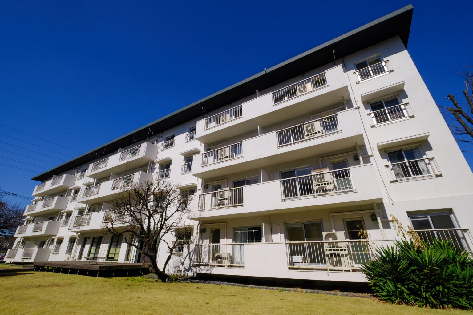 Complejo de casas compartidas Tama Tokiwa-so