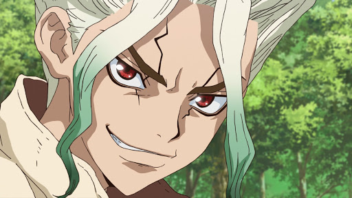 Dr. STONE