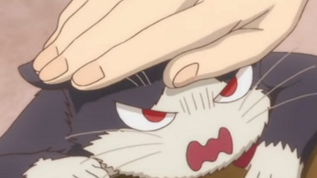 Crunchyroll - Would You Hug These 10 Anime Cats? We Bet You Would!