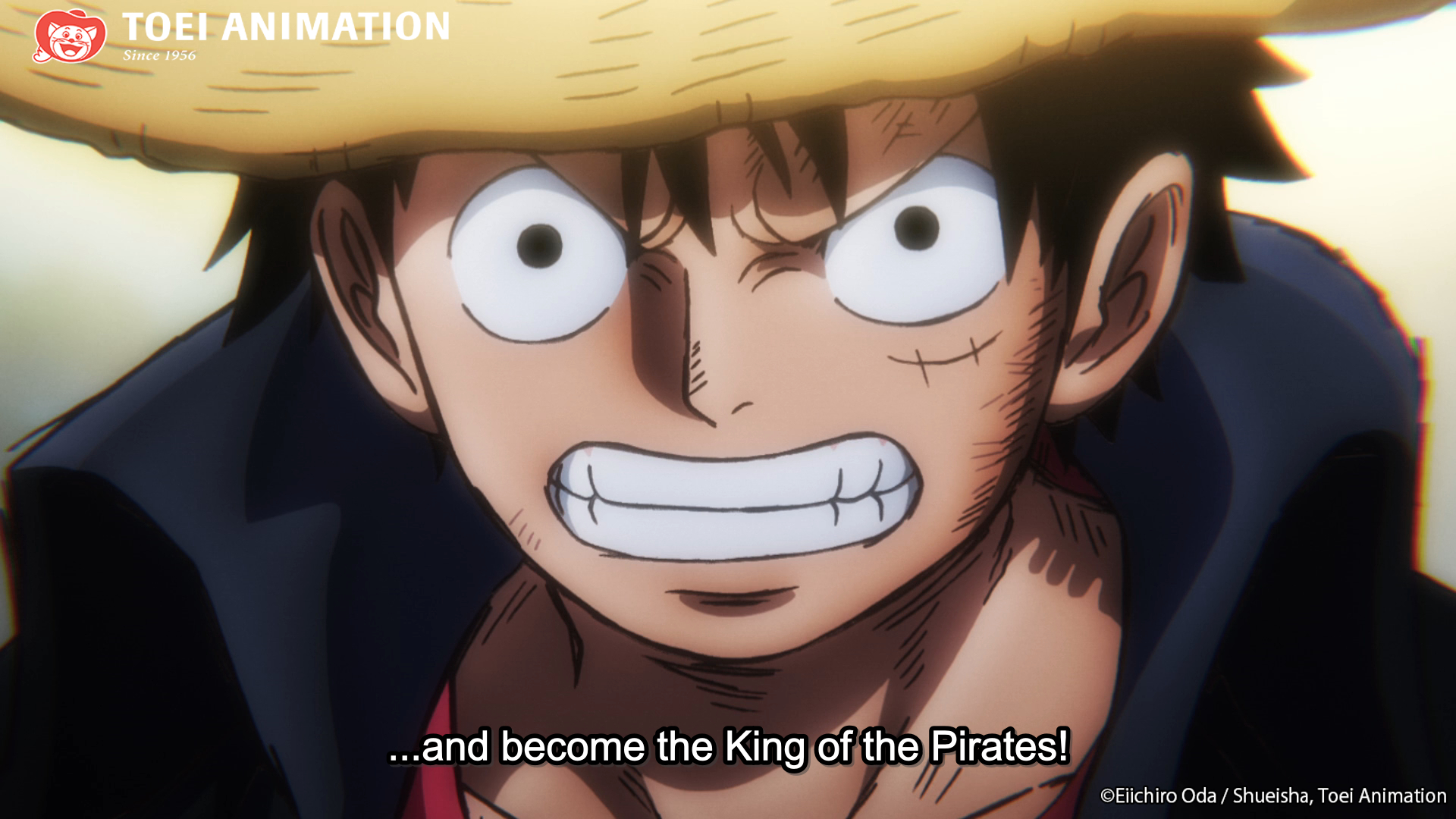 One Piece, König der Piraten