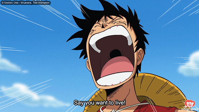 luffy