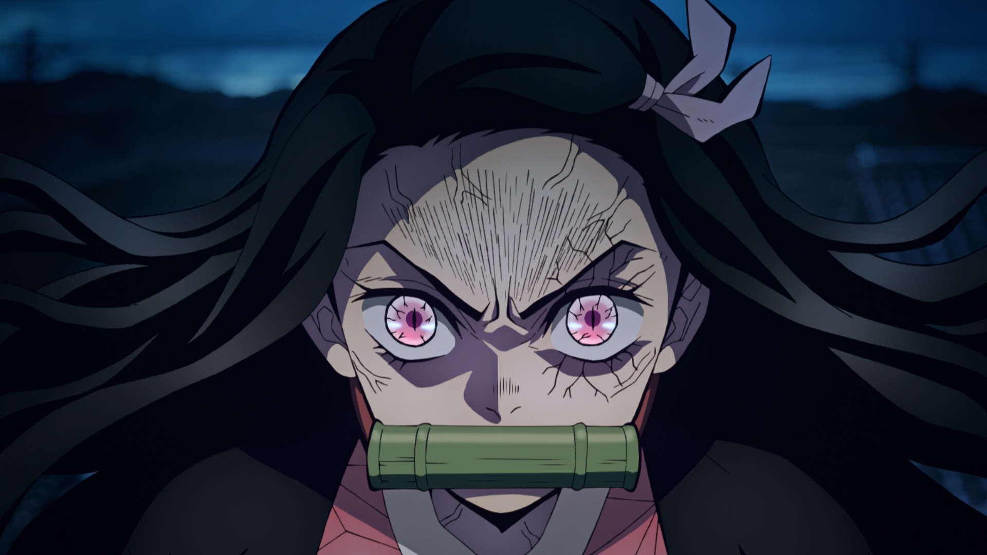 Demon Slayer: Kimetsu no Yaiba Entertainment District Arc