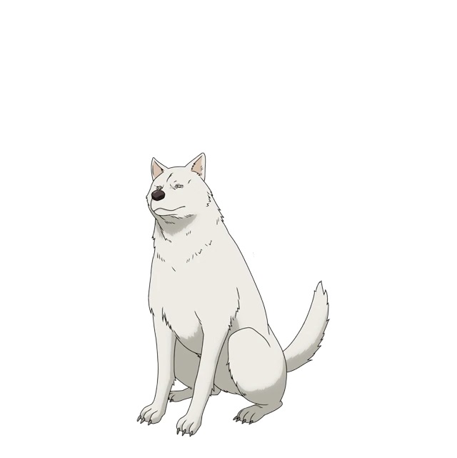 A character setting of Inu ("Dog"), a large white dog from the upcoming Peach Boy Riverside TV anime.