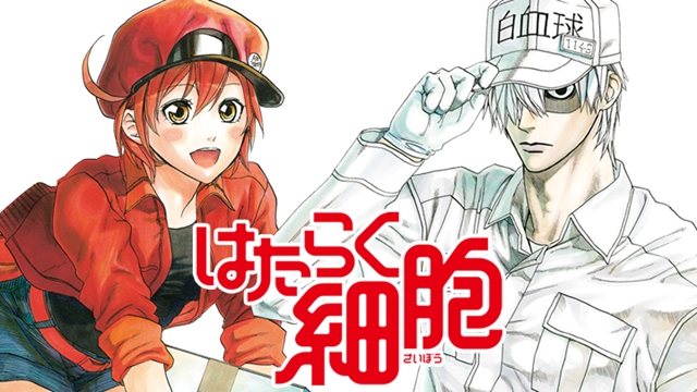 Cells at Work! Live-Action Film Needs Extras Who Can Play Human Cells