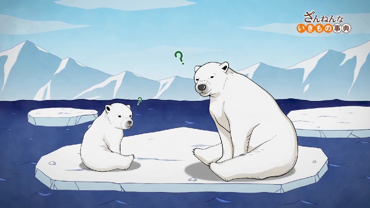 A polar bear cub and an adult polar bear look befuddled as they float away on an ice-drift in a scene from the Zannen na Ikimono Jiten TV anime.