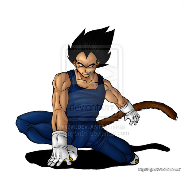 Sharotto The Mother Of Goku