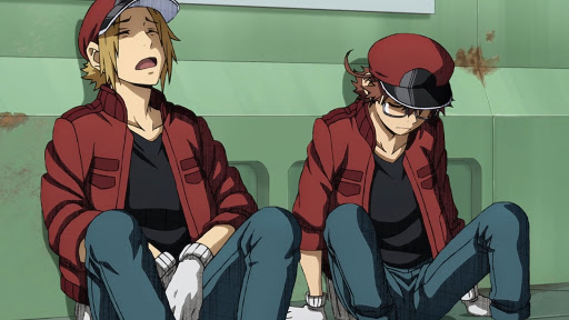 Tired Red Blood Cells