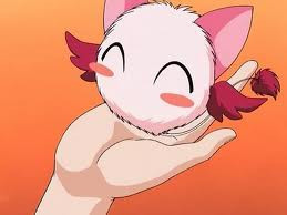 tokyo mew mew crunchyroll
