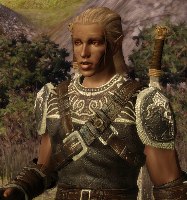 From Dragon Age 2 my bigger fantasy crush is. 