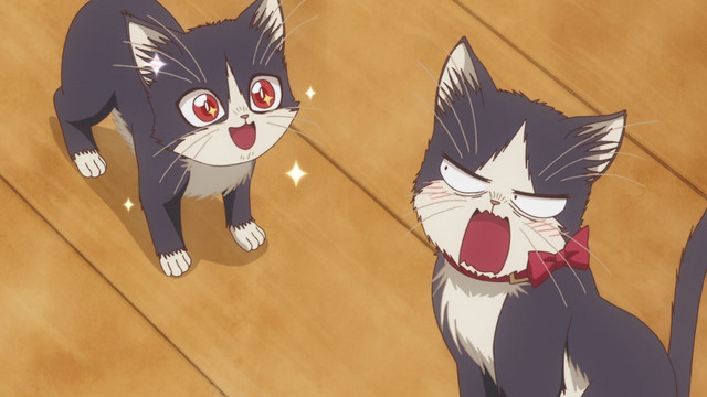 Haru is embarrassed by the antics of her younger brother, Hachi, in a scene from the My Roommate is a Cat TV anime.