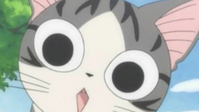 Crunchyroll Une Pause Pour Chi Une Vie De Chat