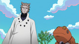 Naruto Shippuden: Season 17 Episode 462