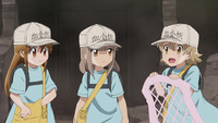 DVD Anime Hataraku Saibou (Cells At Work!) Season 2 + BLACK (1-21 End)  English