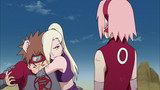 Naruto Shippuden: Season 17 Episode 406