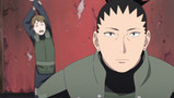 Naruto - Naruto Shippuden episode 326 is now available on Crunchyroll!  Episode 326:   Episode 325