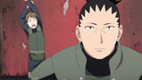 Watch Naruto Shippuden Episode 326 Online - Four Tails, the King of Sage  Monkeys