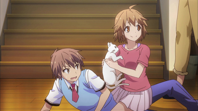 Pet Girl Of Sakurasou Dub