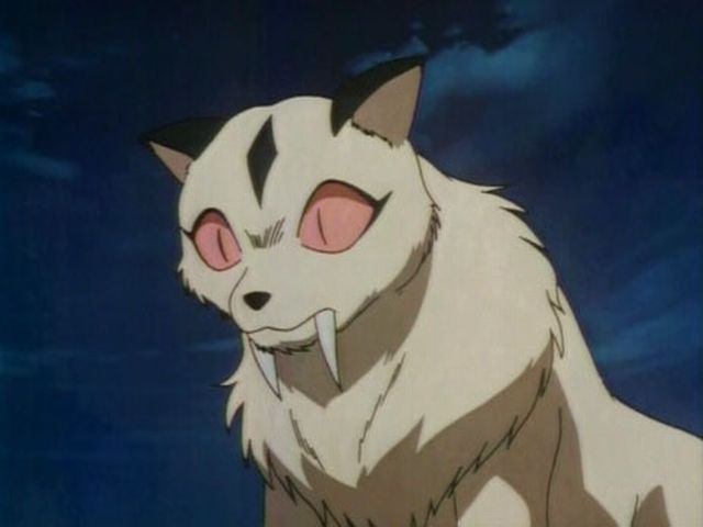 inuyasha kirara demon dog anime sango cat crunchyroll info 雲母 tarako voiced childhood head