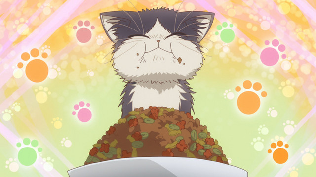 Haru gorges herself on a giant serving of dry cat food in a scene from the My Roommate is a Cat TV anime. 
