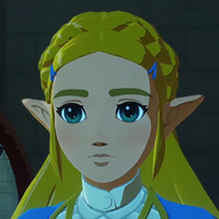 Crunchyroll - New Hyrule Warriors: Age of Calamity Trailer Shows The ...