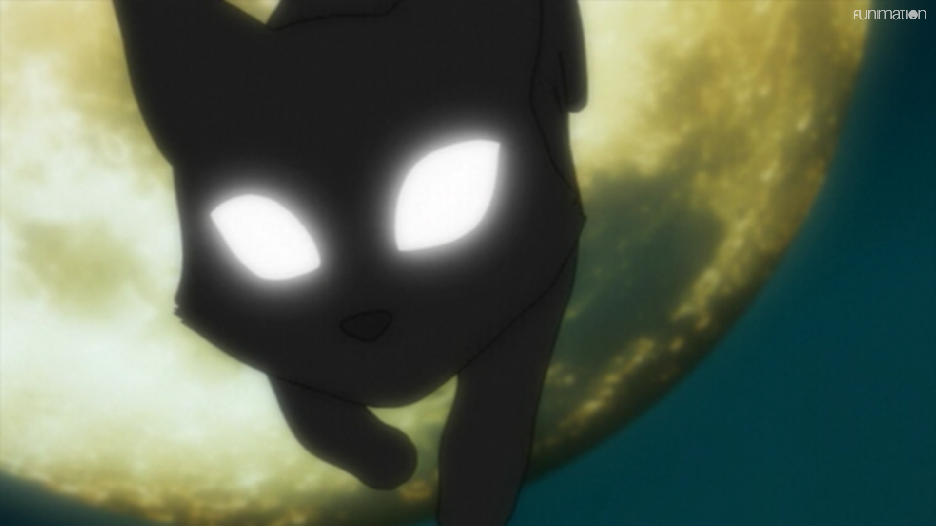 Gato negro saltando en gato negro