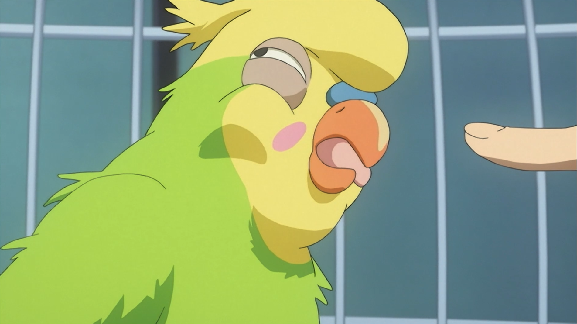 Inko the Parakeet prepares to snap at a visitor's outstretched finger in a scene from the Toradora! TV anime.