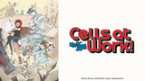 Cells at Work!