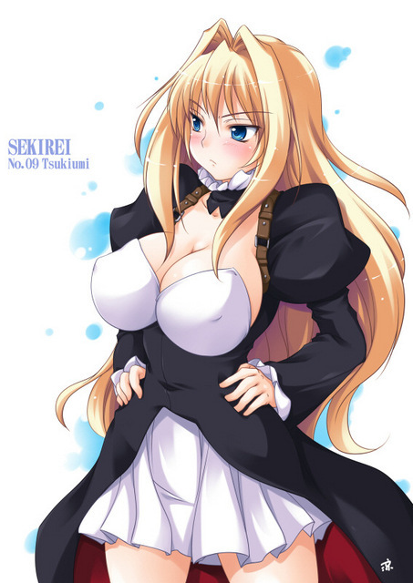 where can i watch sekirei where can i watch sekirei