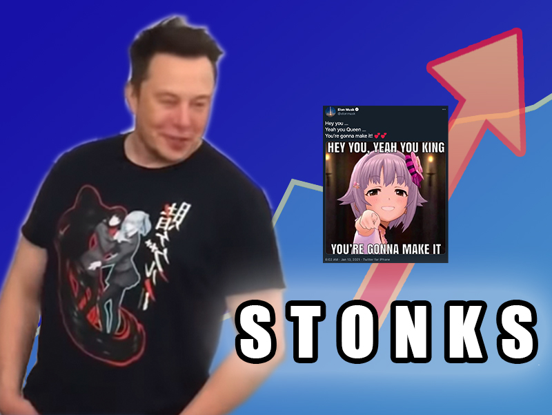 Musk stonk meme