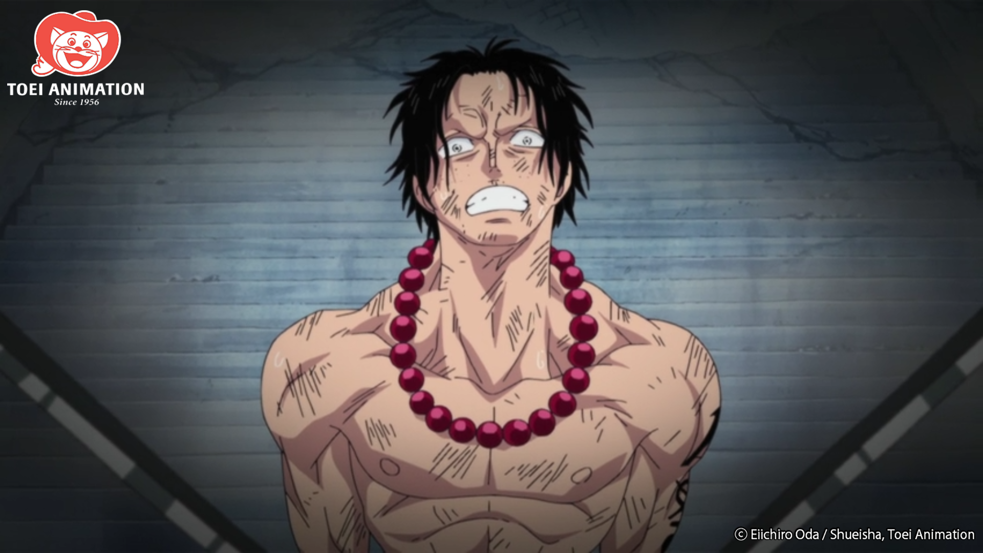 marineford arc one piece