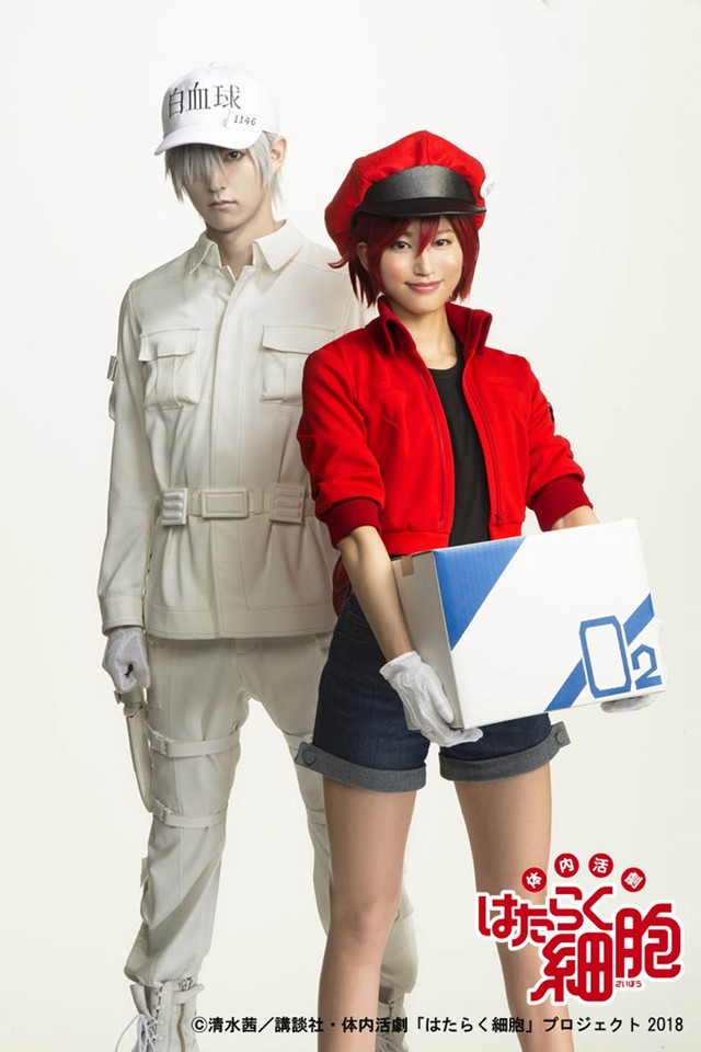 Red Blood Cell Costume  Carbon Costume  DIY DressUp Guides for Cosplay   Halloween
