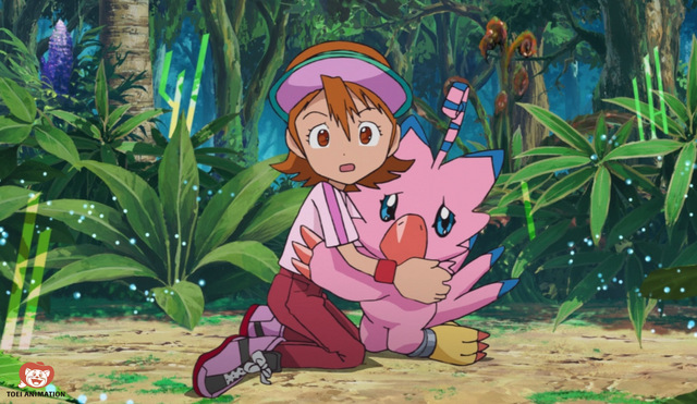 digimon adventure sora piyomon