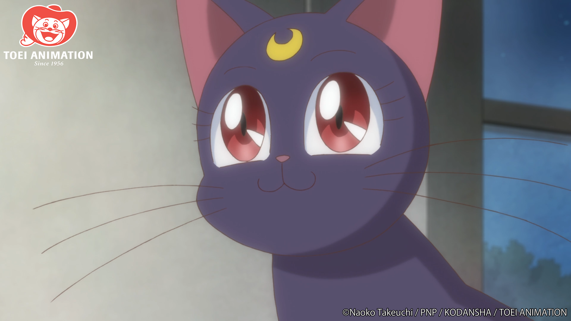 Luna smiles, Sailor Moon