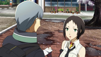 List of Persona 4: The Golden Animation episodes - Wikipedia