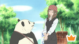 Panda's Apology! / Rin Rin Welcomed!