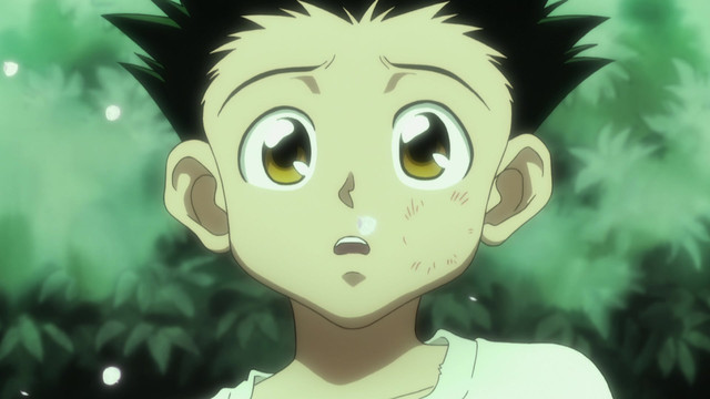 Hunter X Hunter Episode 85 Light X And X Dark Watch On Crunchyroll