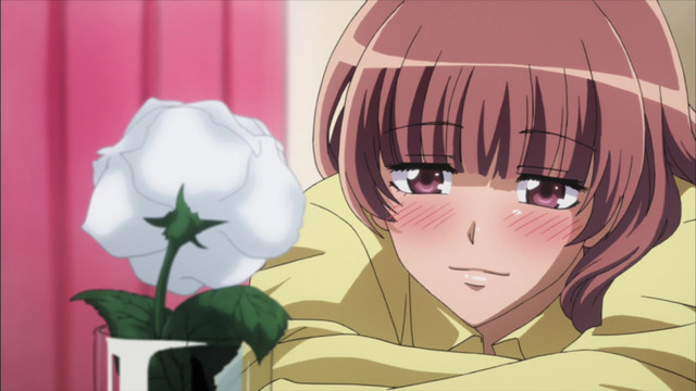 Sakura's Indie-Label Love