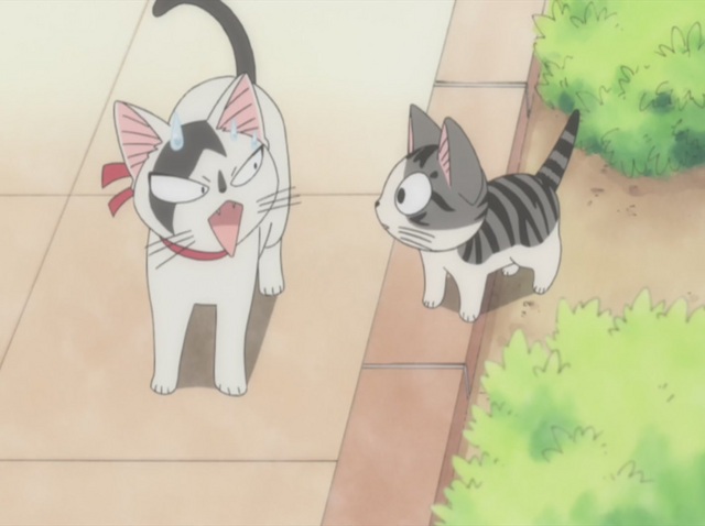 Watch Chi's Sweet Home Episode 65 Online - Chi, Is Treated. | Anime-Planet