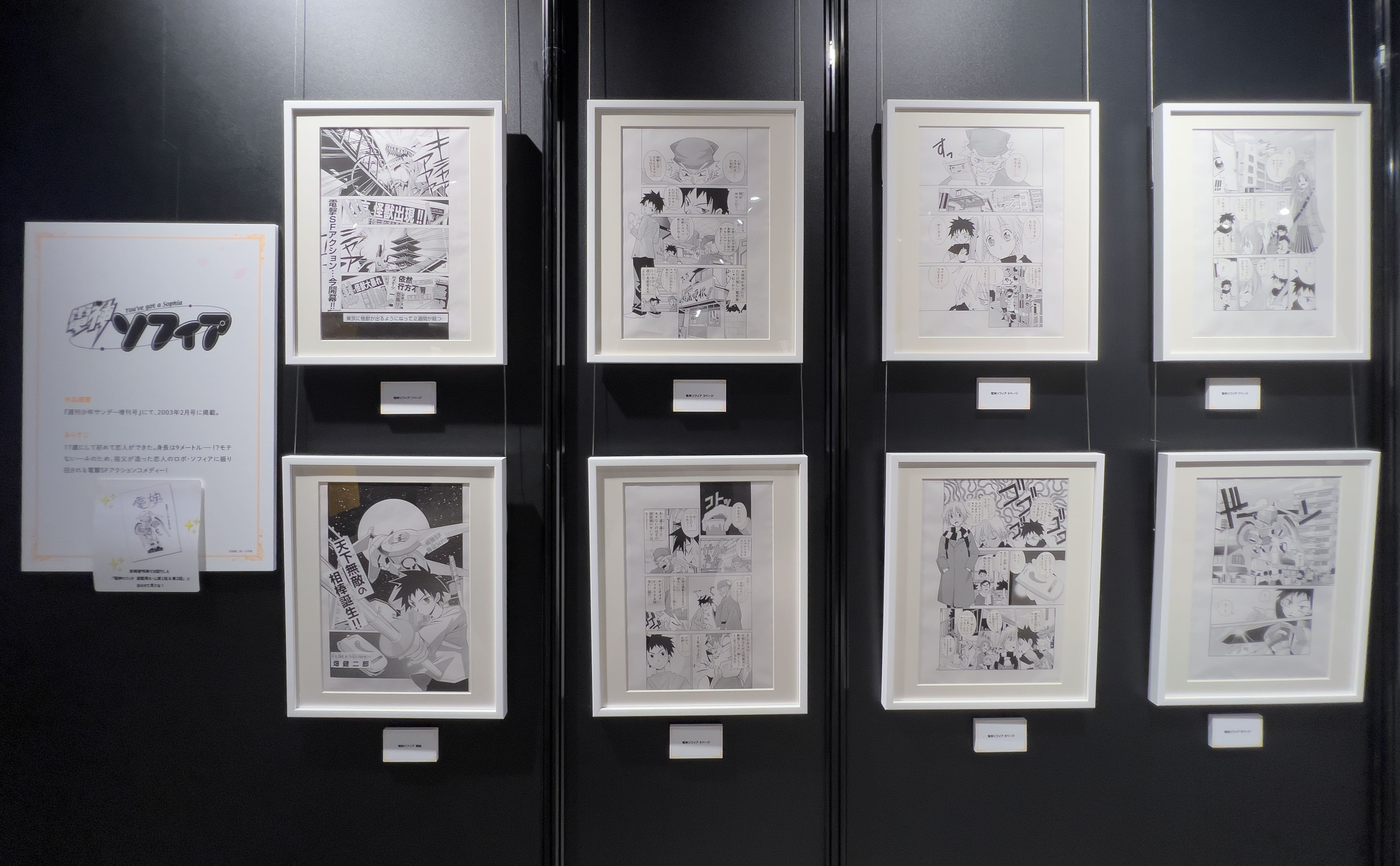 Exhibición de Kenjiro Hata en Tokio
