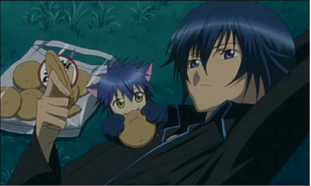 Get Wallpaper Crunchyroll Cat Boi Lovers X3 Group Info For Android Free
