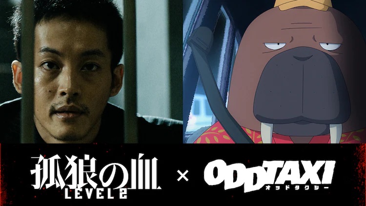 Ein Werbebild für The Last of Wolves vs. ODDTAXI Collaboration PV mit einem Live-Action-Foto des Schauspielers Tori Matsuzaka in Kostüm und Make-up als Detective Shuichi Hioka, der einen Verdächtigen hinter Gefängnisgittern interviewt, und ein Animationsbild von Odokawa, der sein Taxi fährt Taxi.