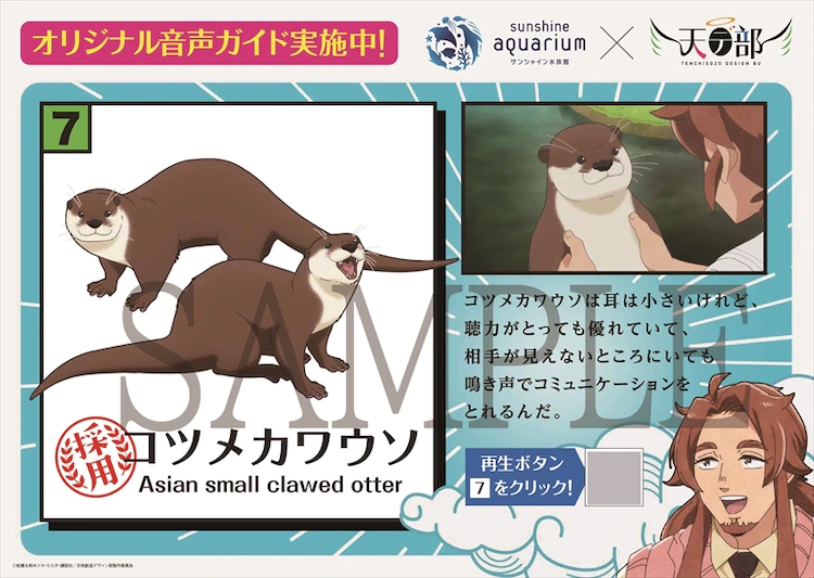 Otter information card