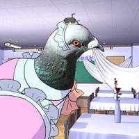 pigeon dating sim twist