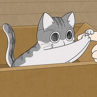 #Genießen Sie die Chill-Vibes der kreditlosen Eröffnung für die Nächte mit einem Katzen-Anime