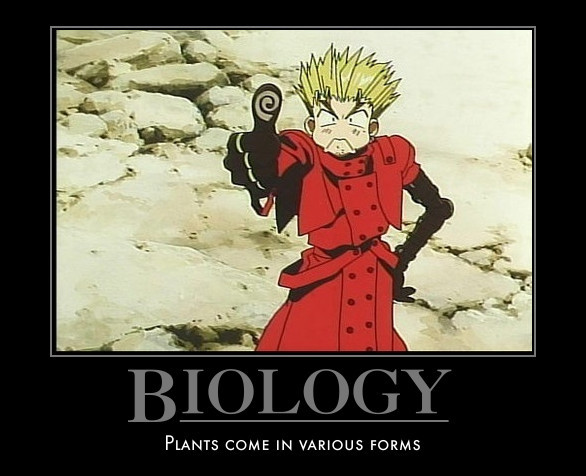 Trigun End Quotes