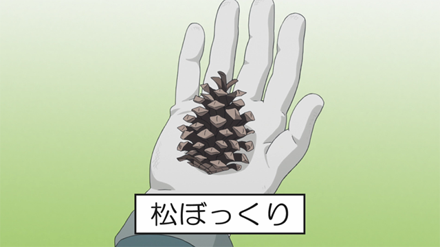 Pine Cone Laid-Back Camp