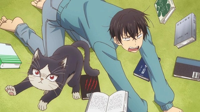 Subaru struggles to prevent a frolicking Haru from knocking over all of his books in a scene from the My Roommate is a Cat TV anime.